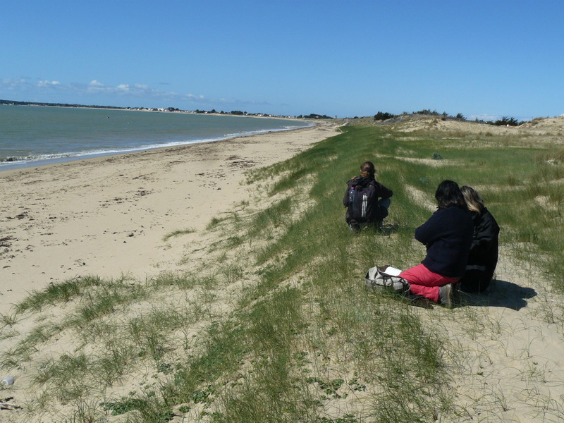 You are currently viewing 2012 – Noirmoutier